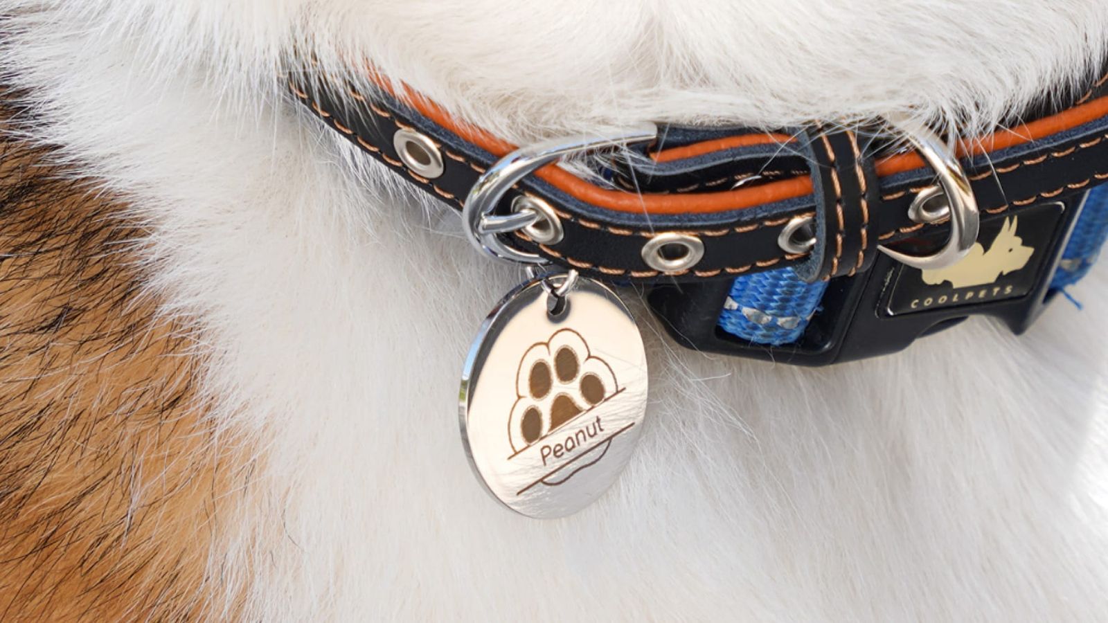 A metal pet tag engraved as a laser project example in Bambu Lab's H2D launch announcement