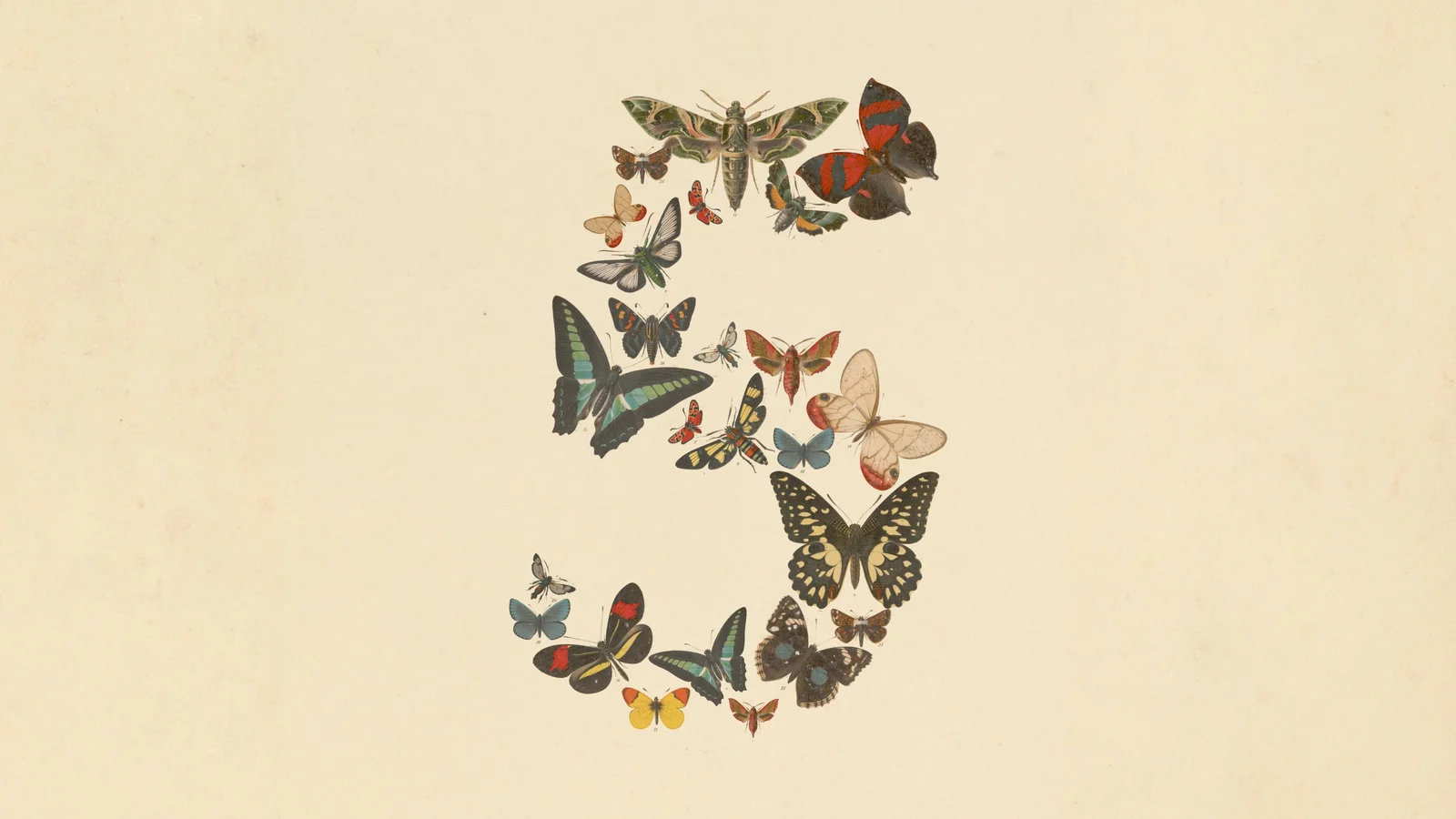 Anthropic's launch illustration, butterflies arranged as a numeral 5