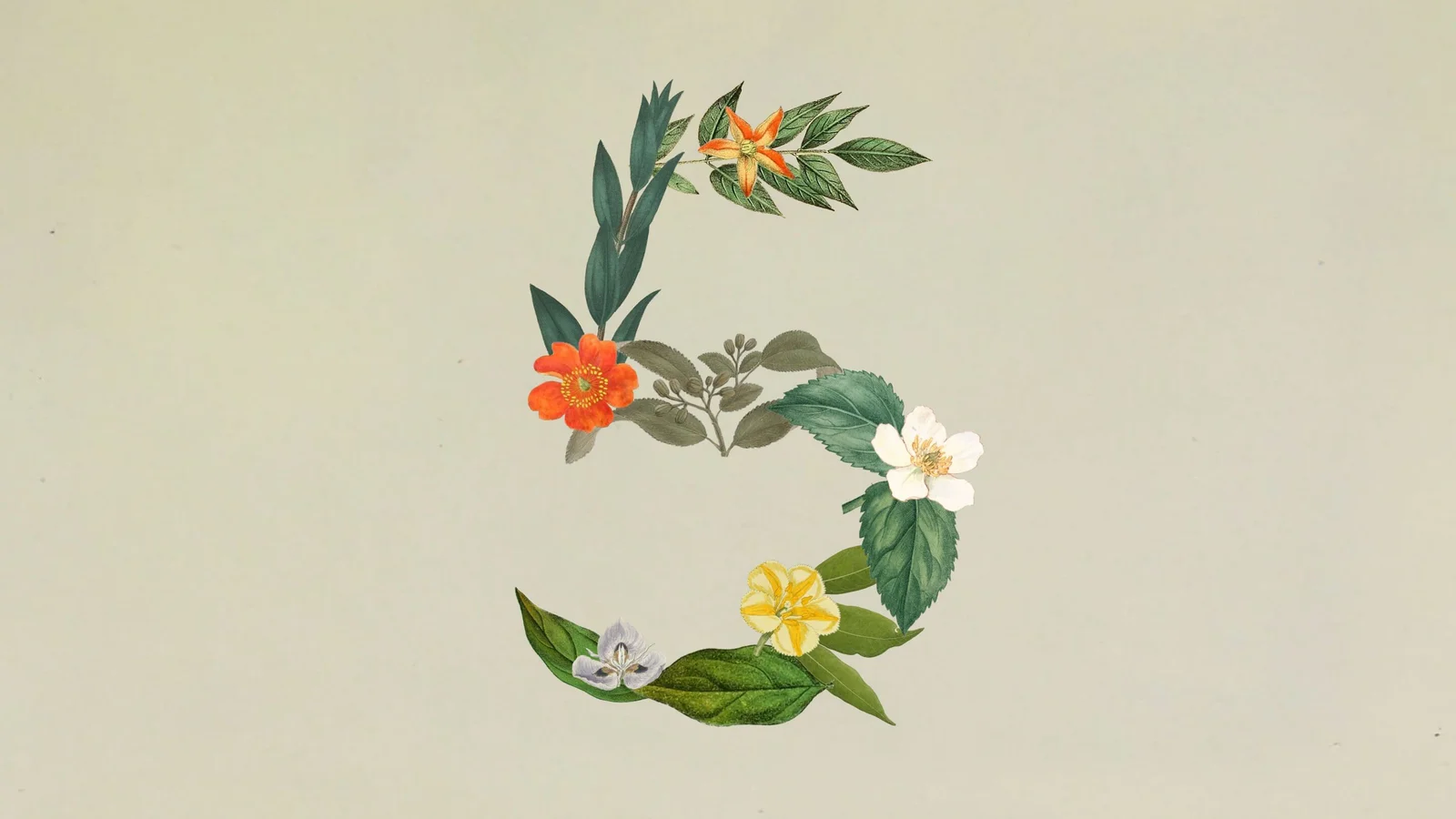 Anthropic's launch illustration, flowers and leaves arranged as a numeral 5