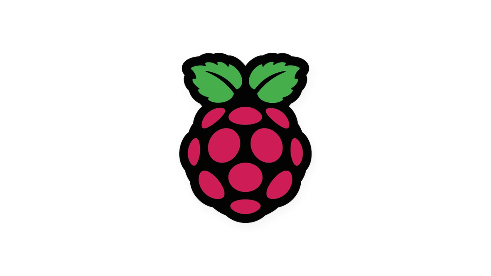 Raspberry Pi raspberry logo for the Raspbian installation guide