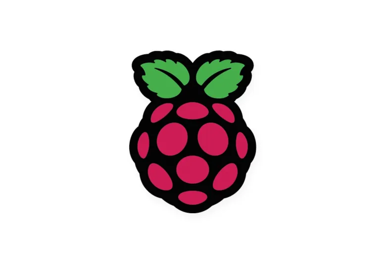 Raspberry Pi raspberry logo for the Raspbian installation guide