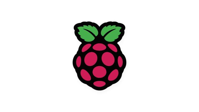 Raspberry Pi raspberry logo for the Raspbian installation guide