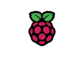 Raspberry Pi raspberry logo for the Raspbian installation guide